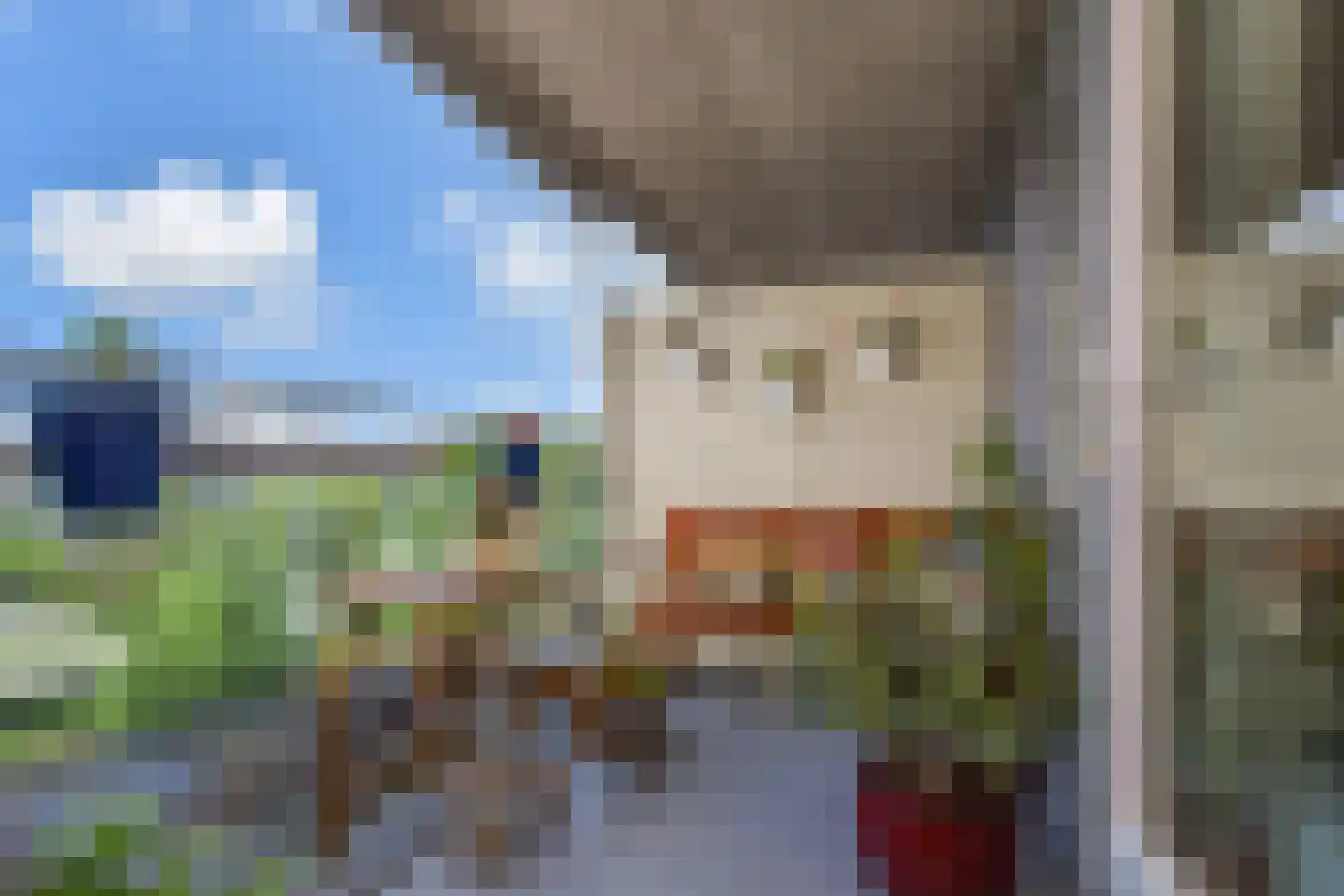 Laan van Wateringse Veld 1350 Den Haag thumbnail 4