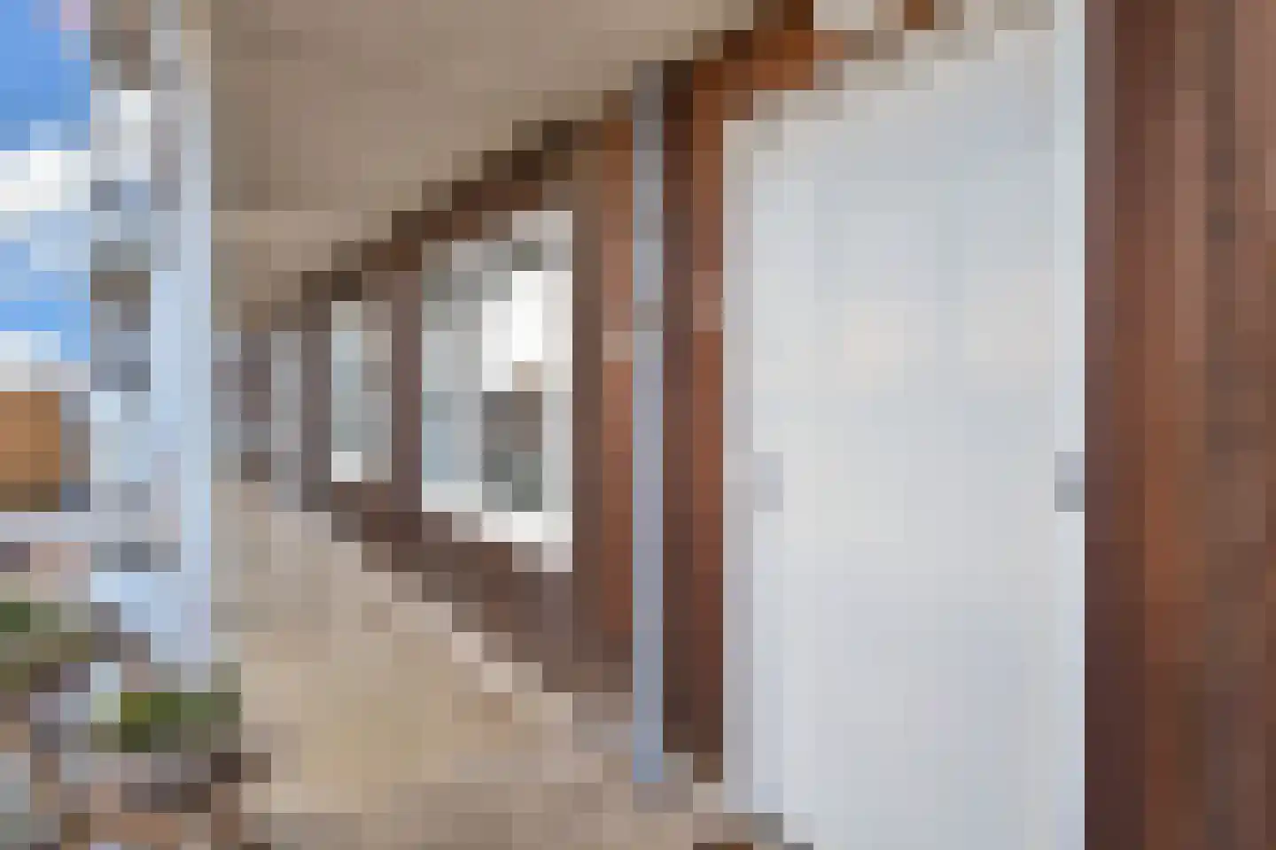 Laan van Wateringse Veld 1350 Den Haag thumbnail 7