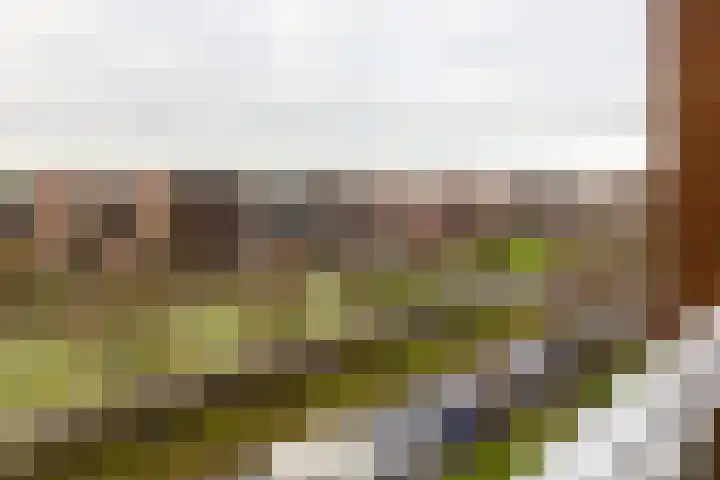 Laan van Wateringse Veld 1384 Den Haag thumbnail 10