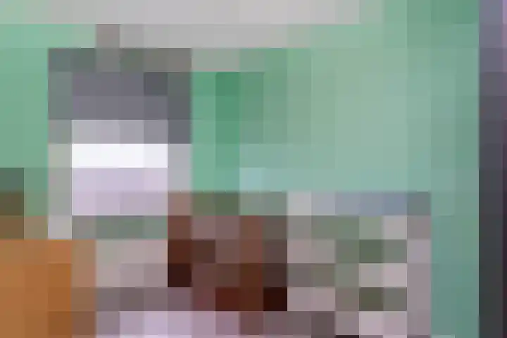 Laan van Wateringse Veld 1384 Den Haag thumbnail 17