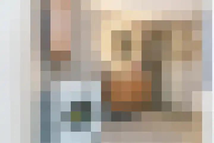 Laan van Wateringse Veld 1384 Den Haag thumbnail 18