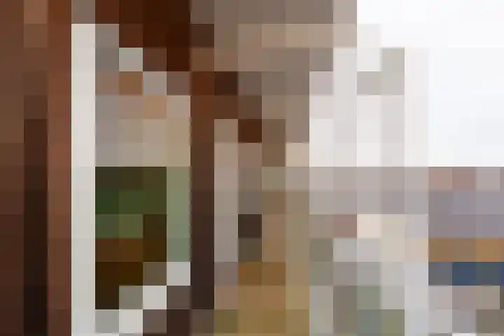 Laan van Wateringse Veld 1384 Den Haag thumbnail 21