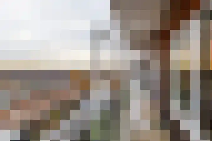 Laan van Wateringse Veld 1384 Den Haag thumbnail 22