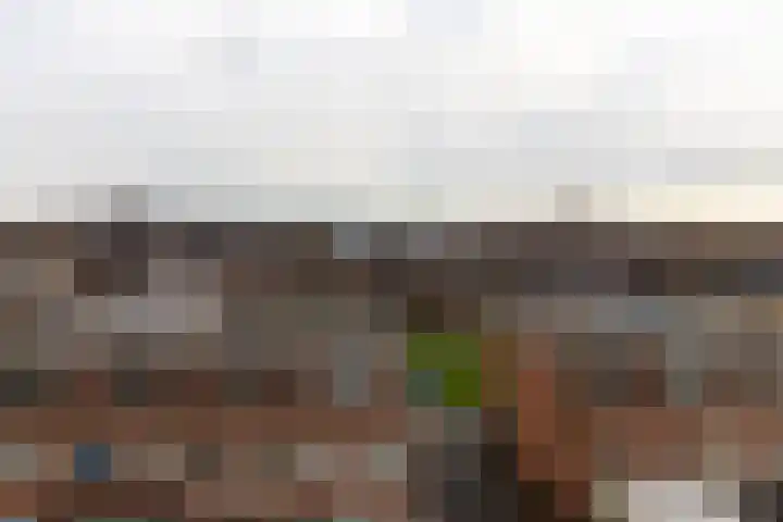 Laan van Wateringse Veld 1384 Den Haag thumbnail 23