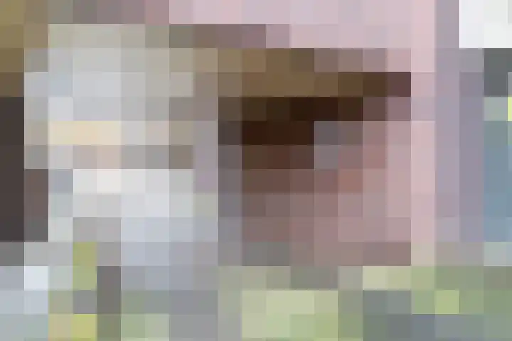 Laan van Wateringse Veld 1384 Den Haag thumbnail 26