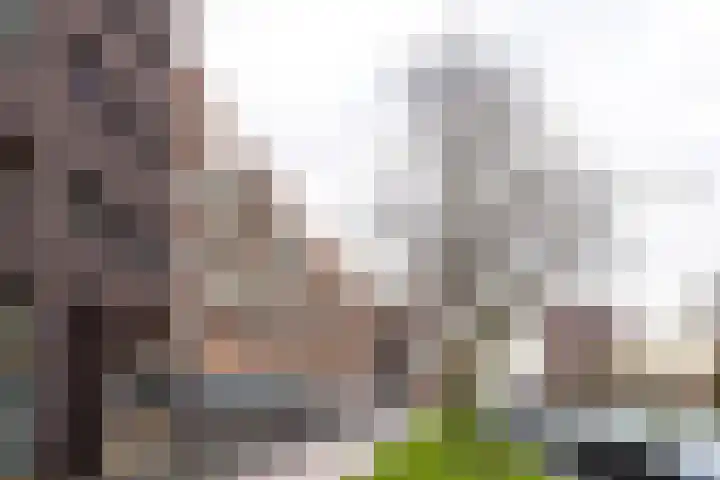 Laan van Wateringse Veld 1384 Den Haag thumbnail 27