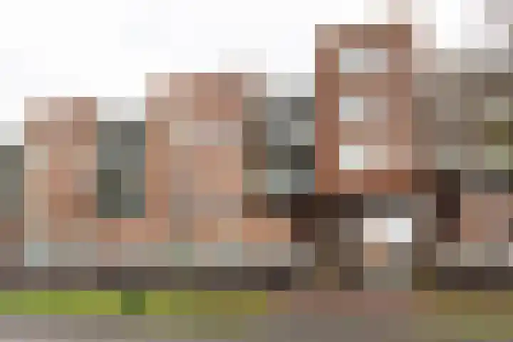 Laan van Wateringse Veld 1384 Den Haag thumbnail 28