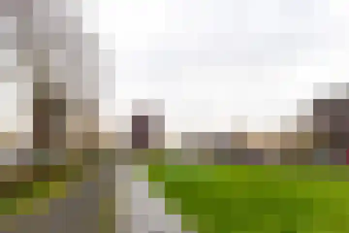 Laan van Wateringse Veld 1384 Den Haag thumbnail 29