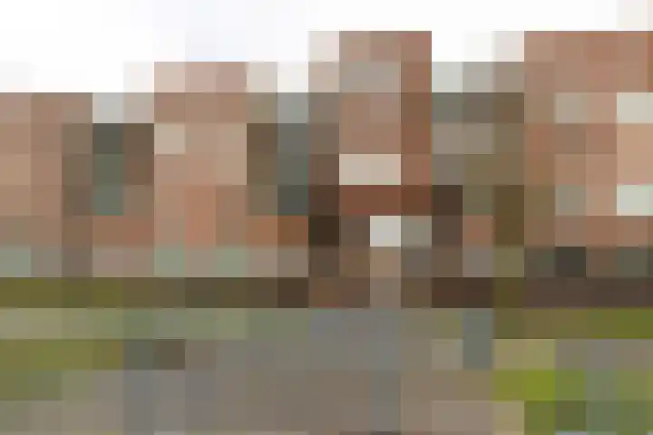 Laan van Wateringse Veld 1384 Den Haag thumbnail 30