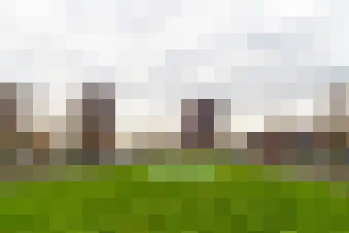 Laan van Wateringse Veld 1384 Den Haag thumbnail 31