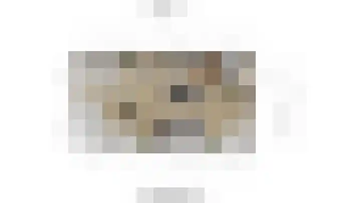 Laan van Wateringse Veld 1384 Den Haag thumbnail 32