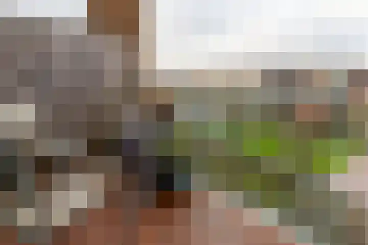 Laan van Wateringse Veld 1384 Den Haag thumbnail 9