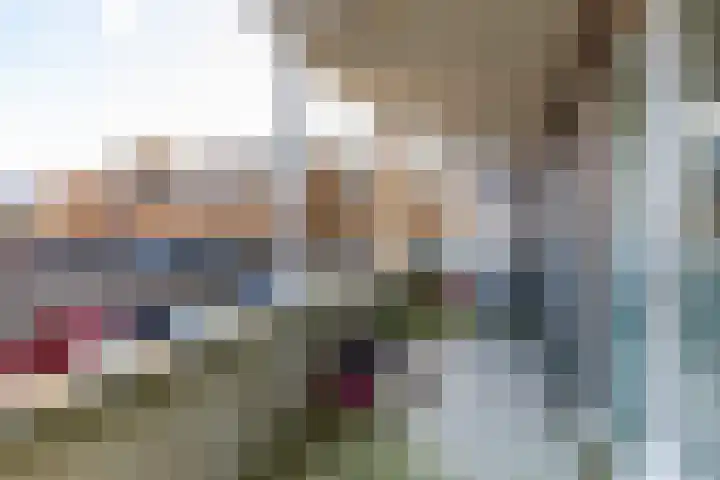 Laan van Wateringse Veld 1398 Den Haag thumbnail 18