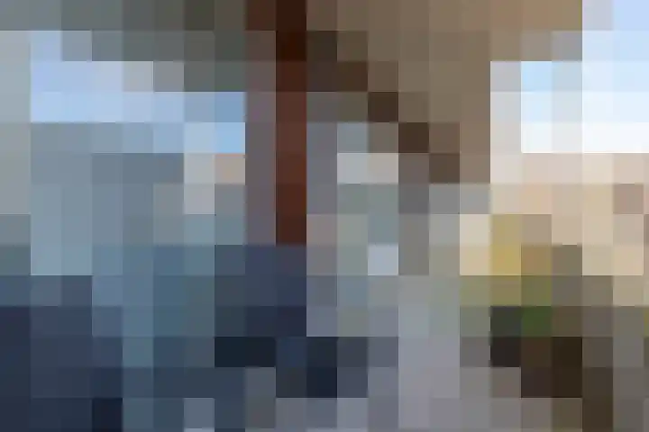 Laan van Wateringse Veld 1398 Den Haag thumbnail 19