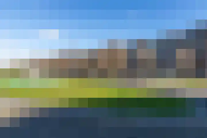 Laan van Wateringse Veld 1398 Den Haag thumbnail 25