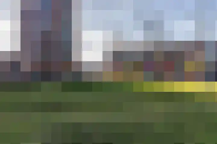 Laan van Wateringse Veld 1398 Den Haag thumbnail 26