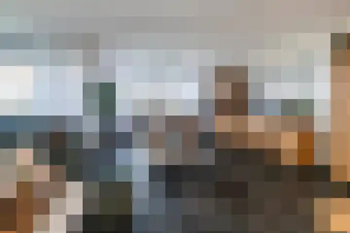 Laan van Wateringse Veld 1430 Den Haag thumbnail 10