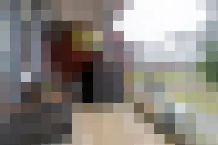 Laan van Wateringse Veld 1430 Den Haag thumbnail 13