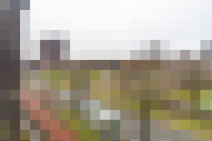 Laan van Wateringse Veld 1430 Den Haag thumbnail 14