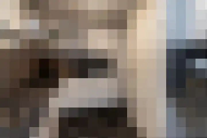 Laan van Wateringse Veld 1430 Den Haag thumbnail 16