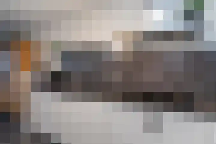 Laan van Wateringse Veld 1430 Den Haag thumbnail 17