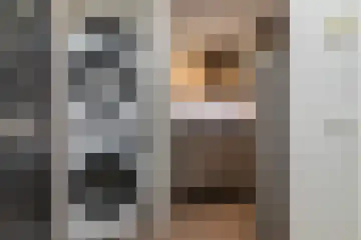 Laan van Wateringse Veld 1430 Den Haag thumbnail 18