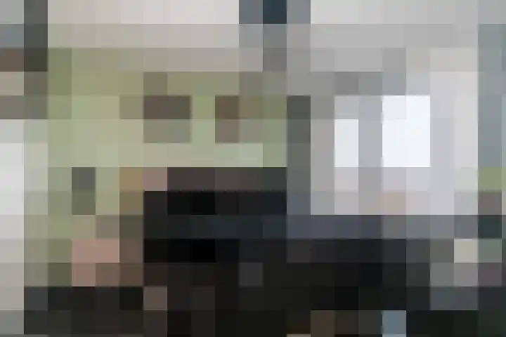Laan van Wateringse Veld 1430 Den Haag thumbnail 19