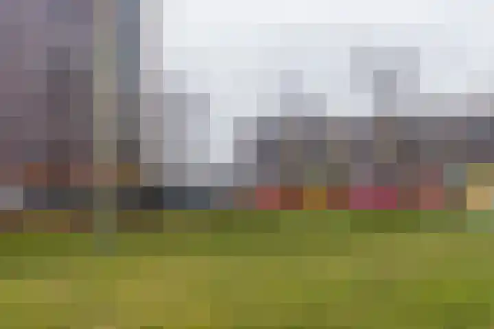 Laan van Wateringse Veld 1430 Den Haag thumbnail 27