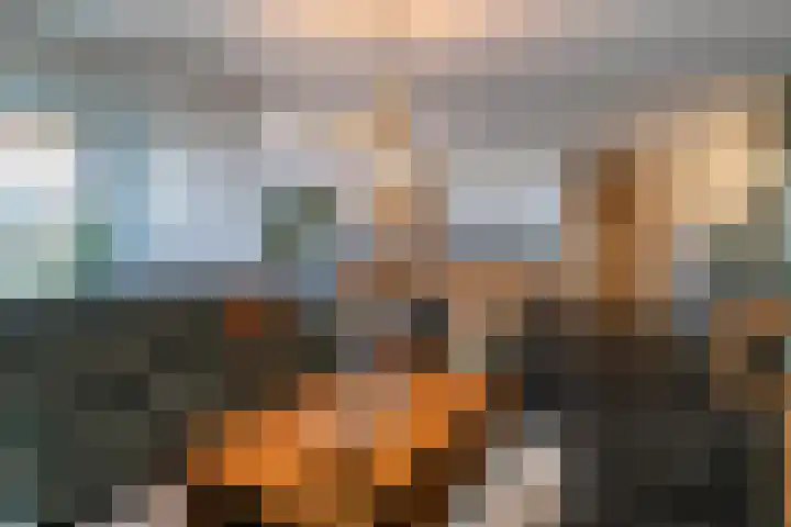 Laan van Wateringse Veld 1430 Den Haag thumbnail 8