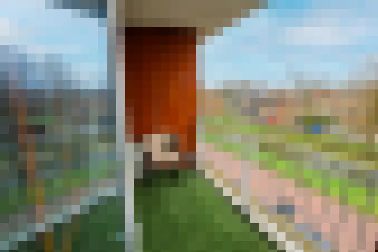 Laan van Wateringse Veld 1534 Den Haag thumbnail 12