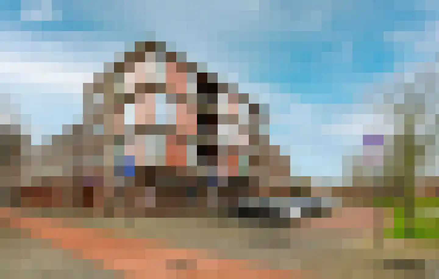 Laan van Wateringse Veld 1534 Den Haag thumbnail 20