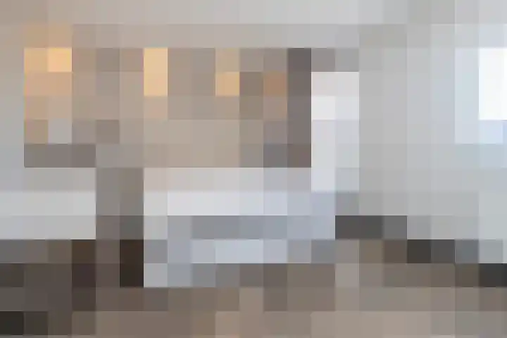 Laan van Wateringse Veld 1567 Den Haag thumbnail 11