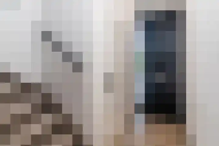 Laan van Wateringse Veld 1567 Den Haag thumbnail 21