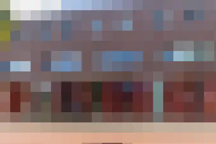 Laan van Wateringse Veld 1567 Den Haag thumbnail 22