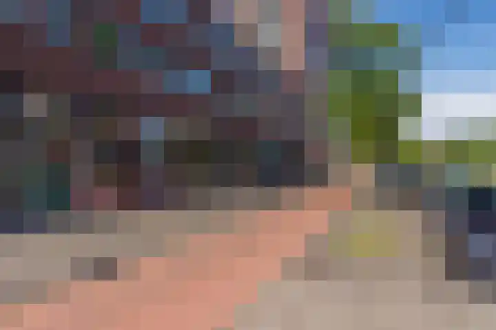 Laan van Wateringse Veld 1567 Den Haag thumbnail 23
