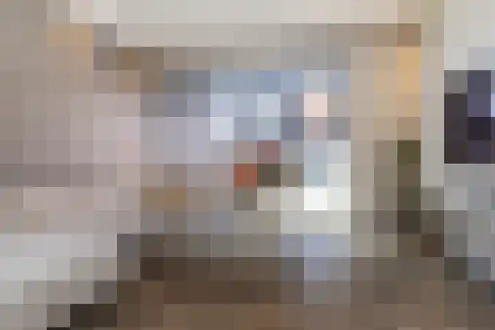 Laan van Wateringse Veld 1567 Den Haag thumbnail 9