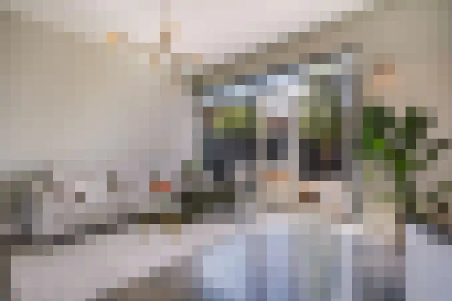 Laan van Wateringse Veld 1571 Den Haag thumbnail 12