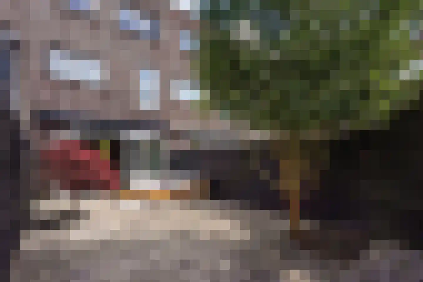 Laan van Wateringse Veld 1571 Den Haag thumbnail 15