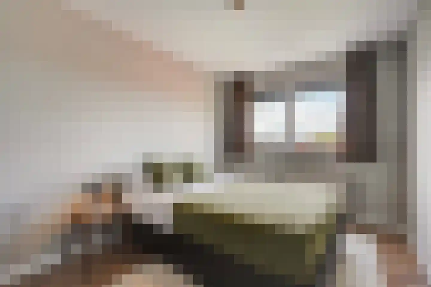 Laan van Wateringse Veld 1571 Den Haag thumbnail 26