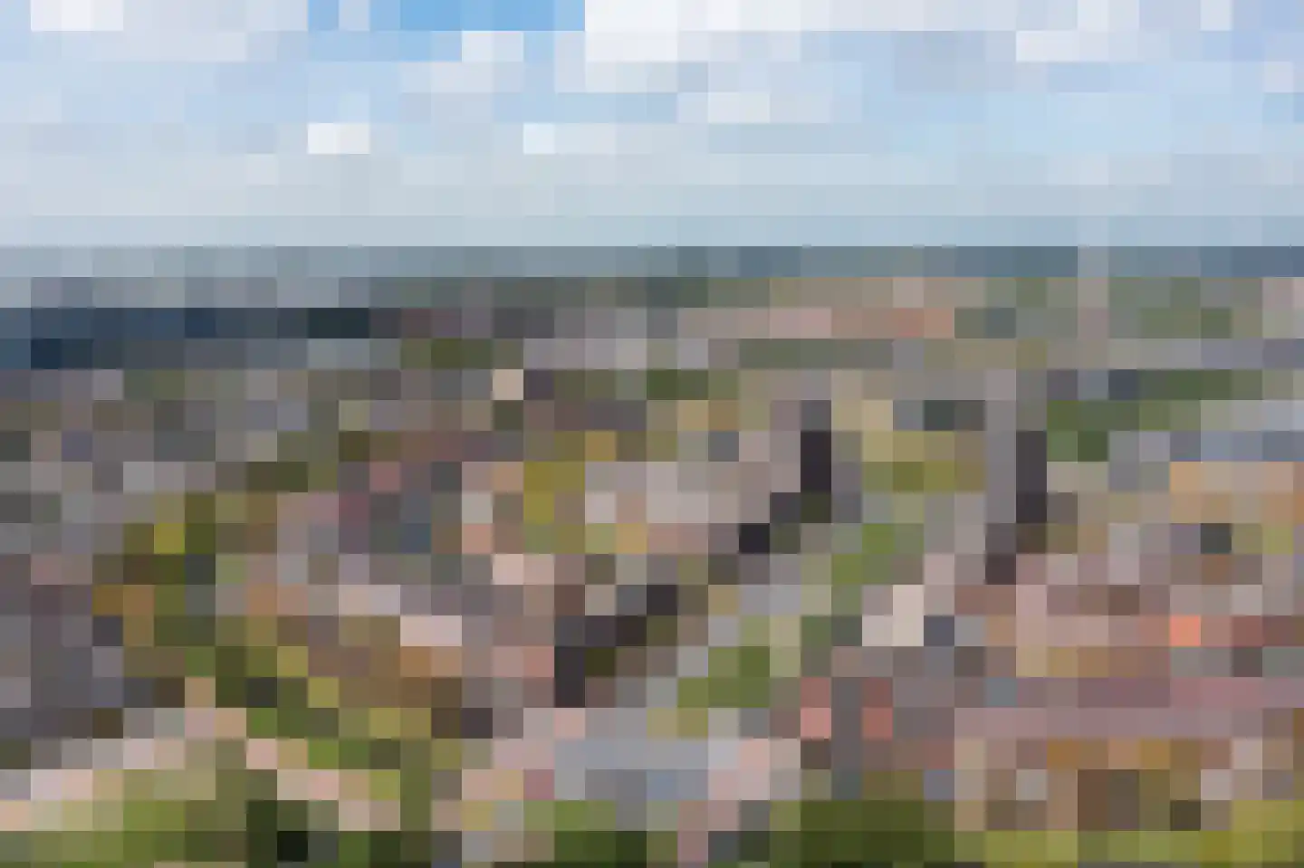 Laan van Wateringse Veld 1571 Den Haag thumbnail 39
