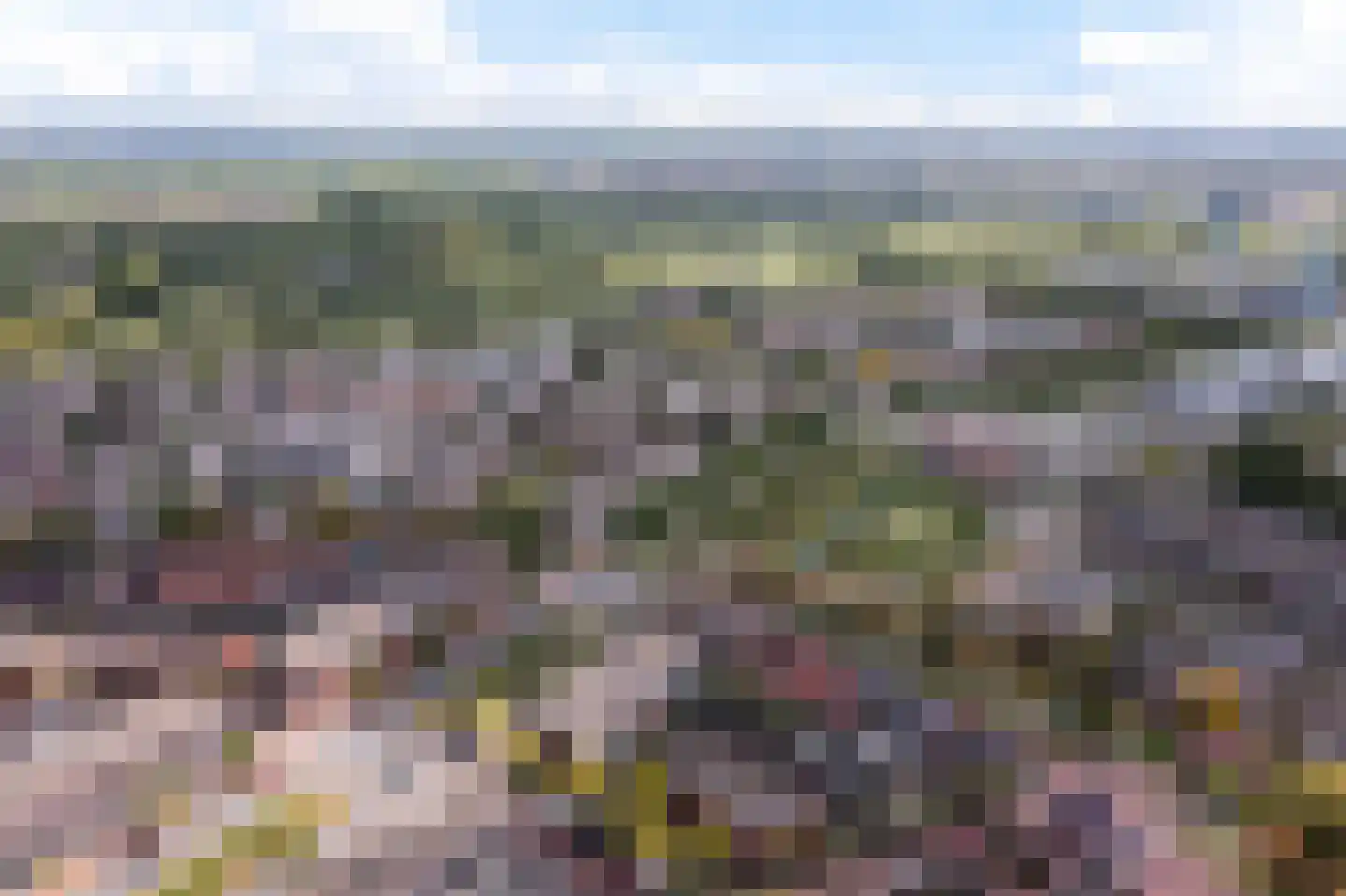 Laan van Wateringse Veld 1571 Den Haag thumbnail 40