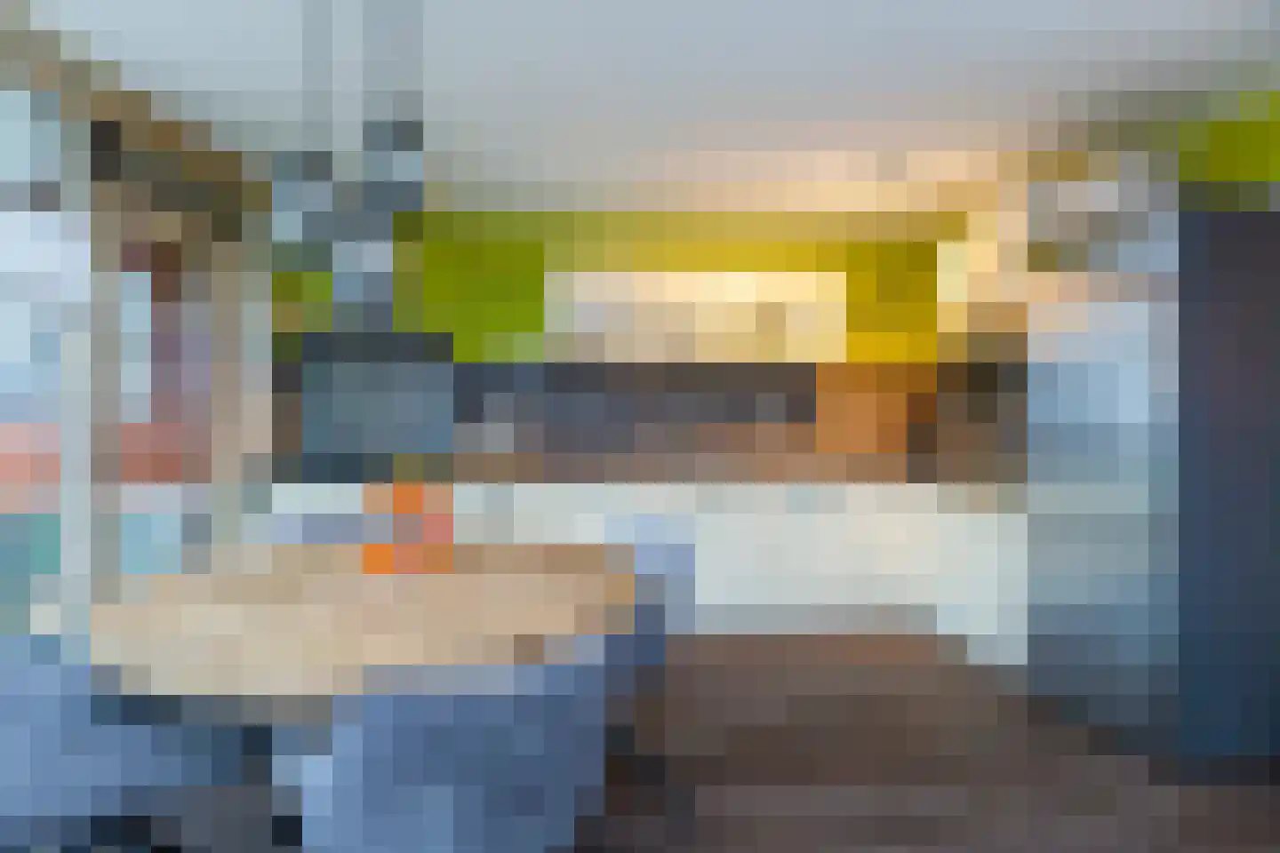 Laan van Wateringse Veld 1583 Den Haag thumbnail 18