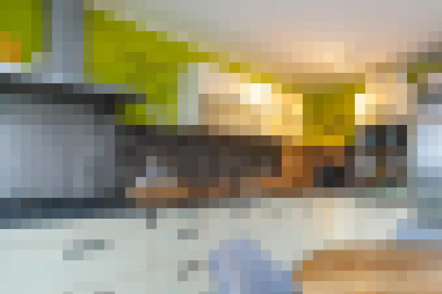 Laan van Wateringse Veld 1583 Den Haag thumbnail 20
