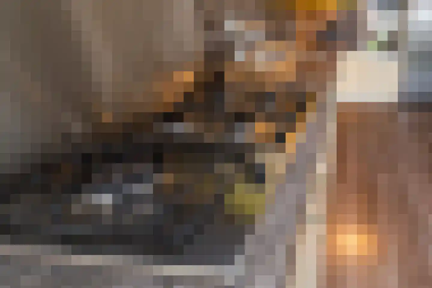 Laan van Wateringse Veld 1583 Den Haag thumbnail 22