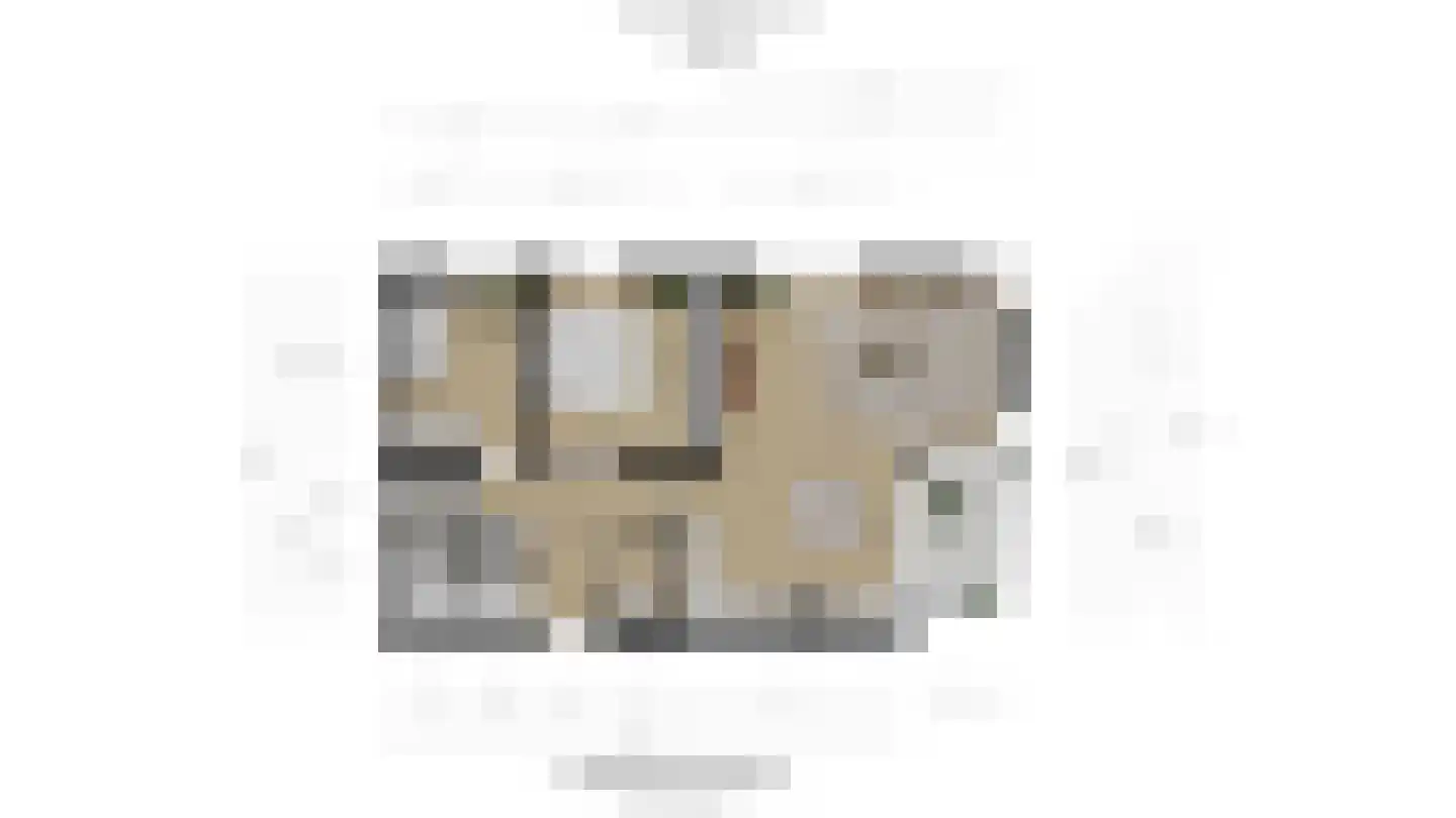 Laan van Wateringse Veld 1583 Den Haag thumbnail 47