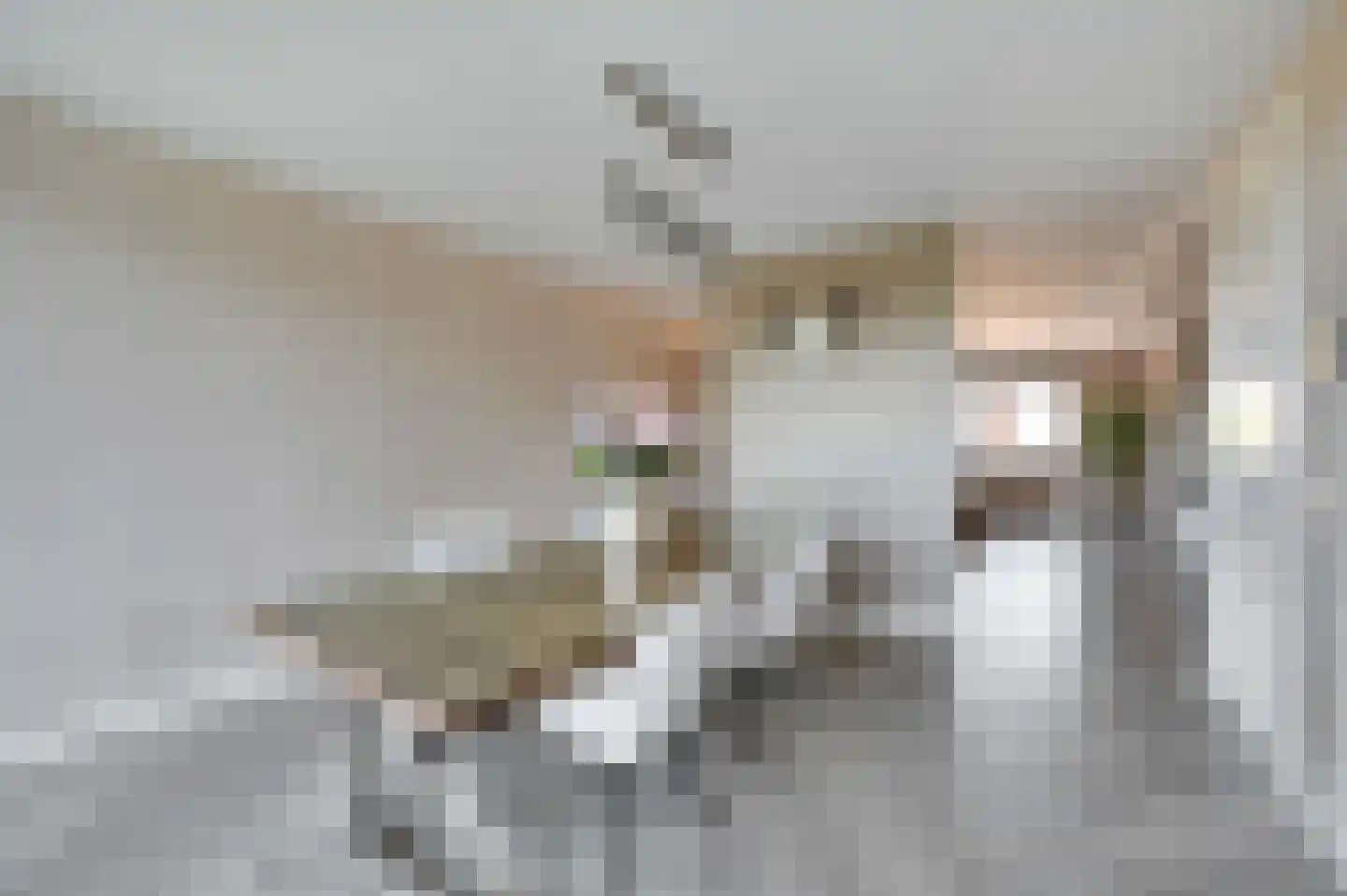 Laan van Wateringse Veld 1585 Den Haag thumbnail 15
