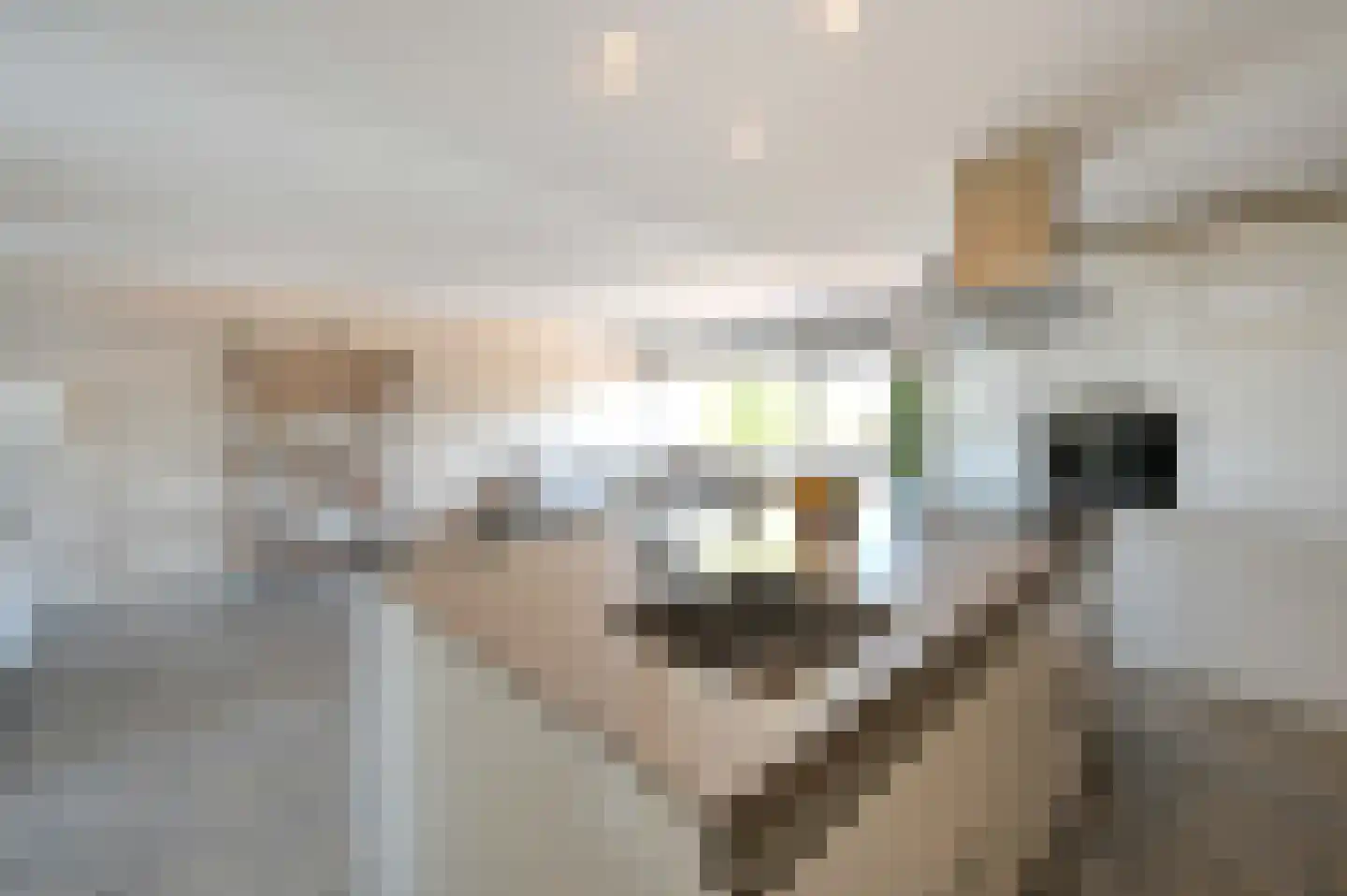 Laan van Wateringse Veld 1585 Den Haag thumbnail 22