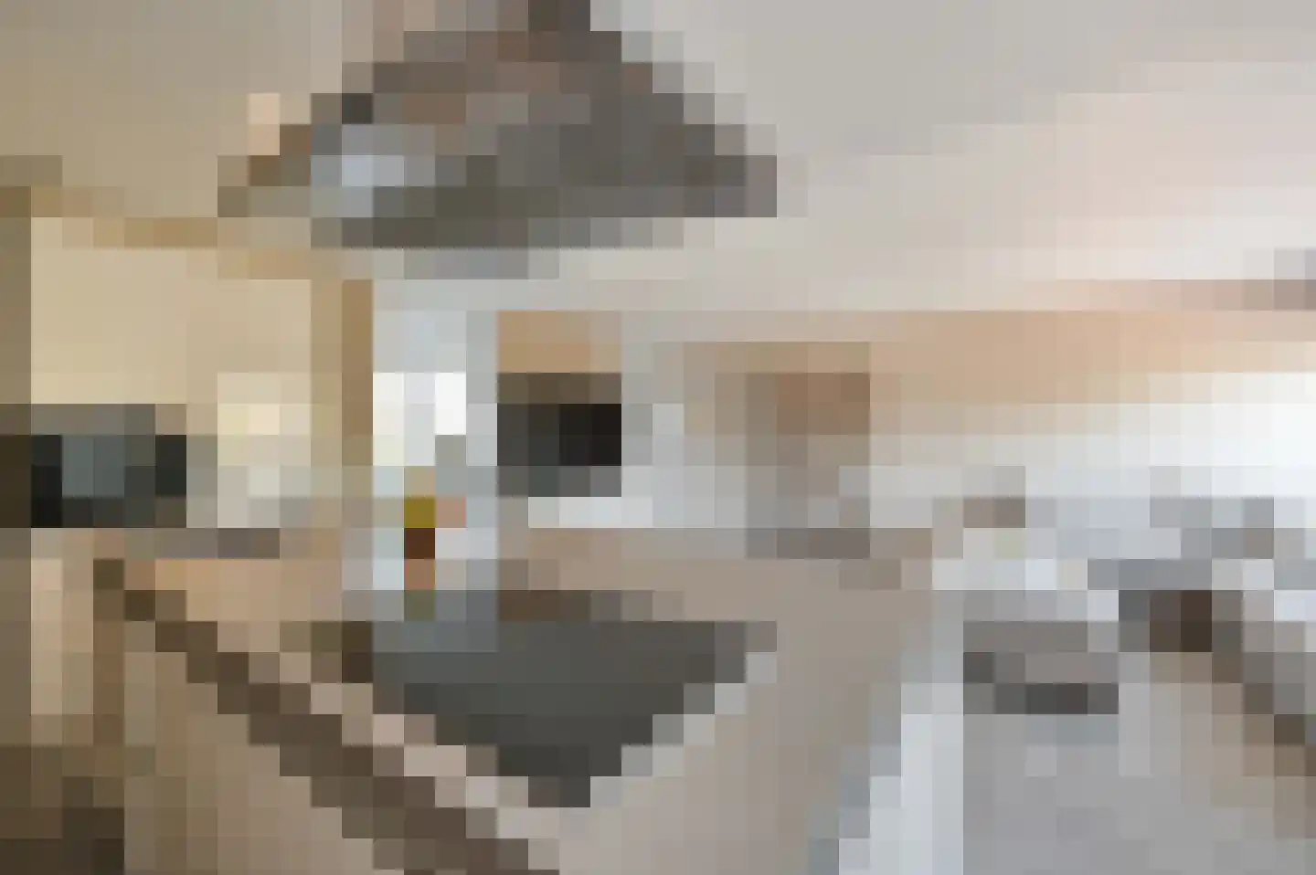 Laan van Wateringse Veld 1585 Den Haag thumbnail 23
