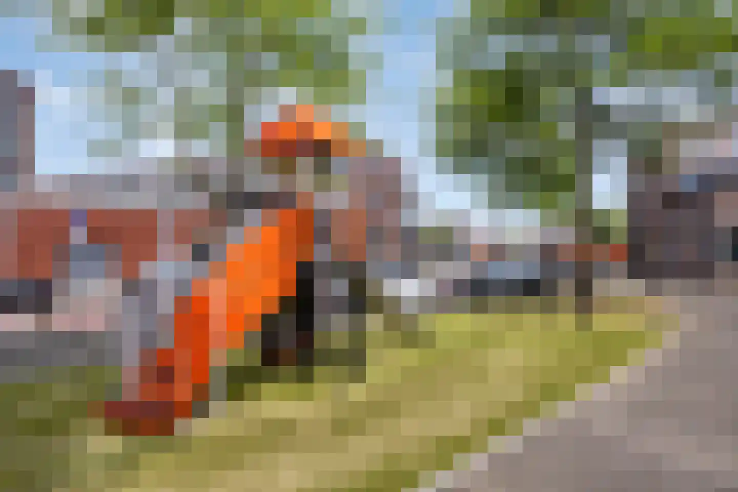 Laan van Wateringse Veld 1589 Den Haag thumbnail 40