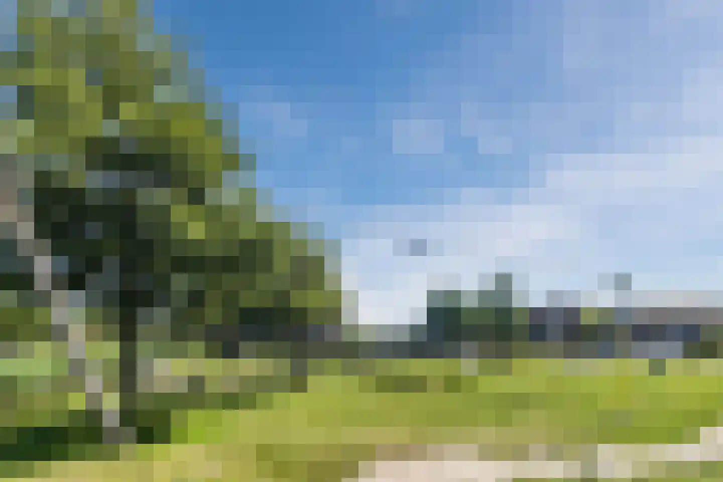 Laan van Wateringse Veld 1591 Den Haag thumbnail 45